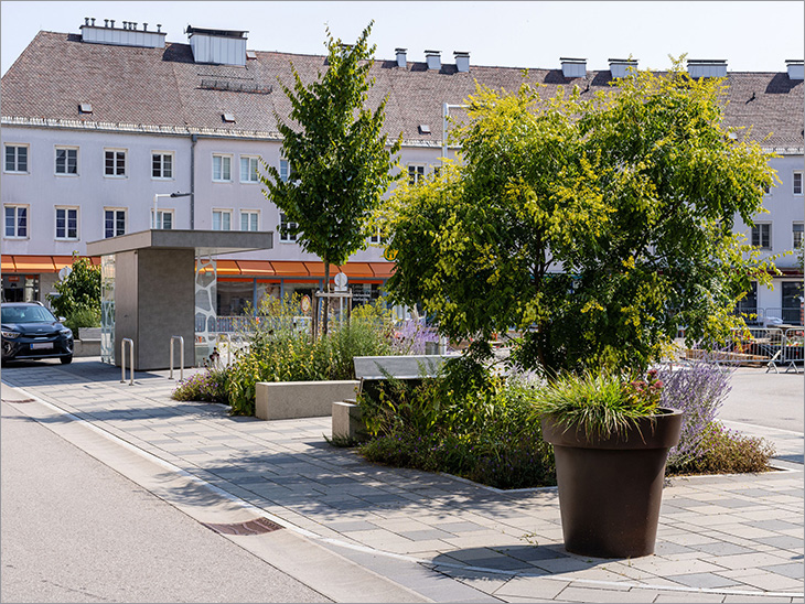 Regenwasser in der Stadt halten und nutzen
